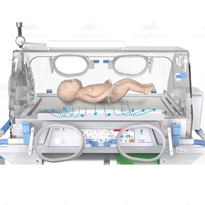 Desktop Autoclave Manufacturer - Table Top Class B Pulsating Vacuum