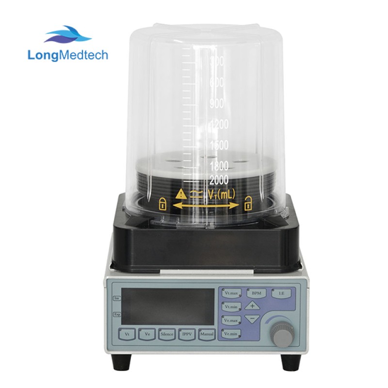 Scraping Apparatus Factory - Meridian Fat Burning Gua Sha