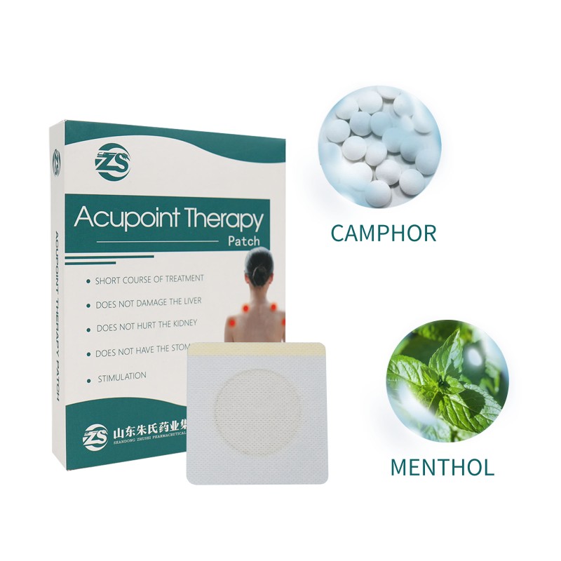 Pain Relief Patch Supplier - ZS Brand Waist Leg