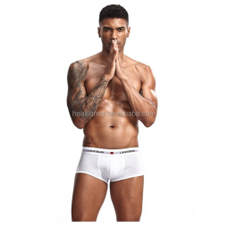 Pregnancy Test Kit Manufacturer - Rapid Animal Cow Goat