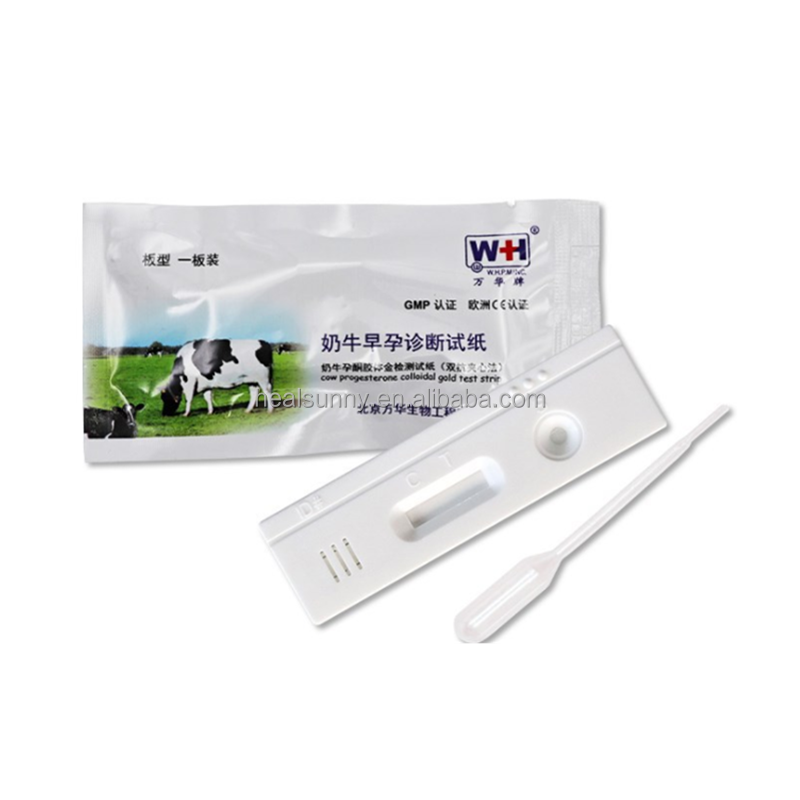 Rehabilitation Chair Factory - Hot Sale Hind Leg Design