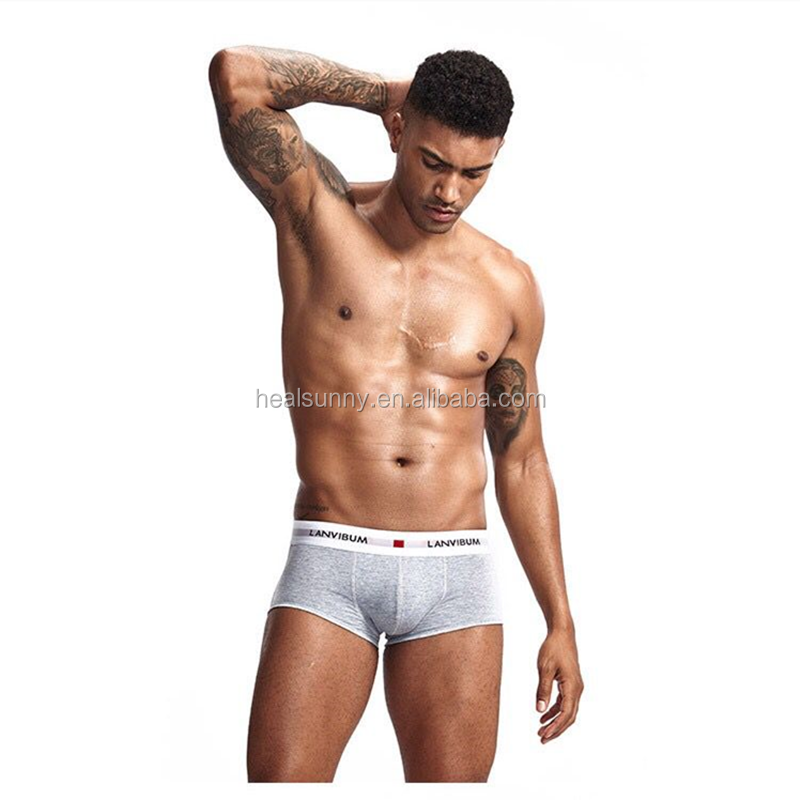 Pregnancy Test Kit Manufacturer - Rapid Animal Cow Goat