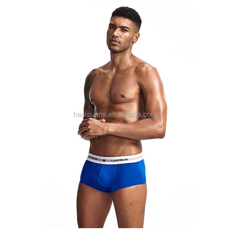 Pregnancy Test Kit Manufacturer - Rapid Animal Cow Goat