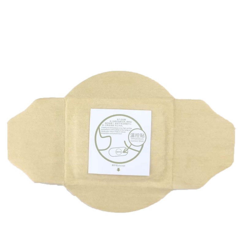 Moxibustion Patch Manufacturer - Premium 4-Wings OEM ODM Cervical