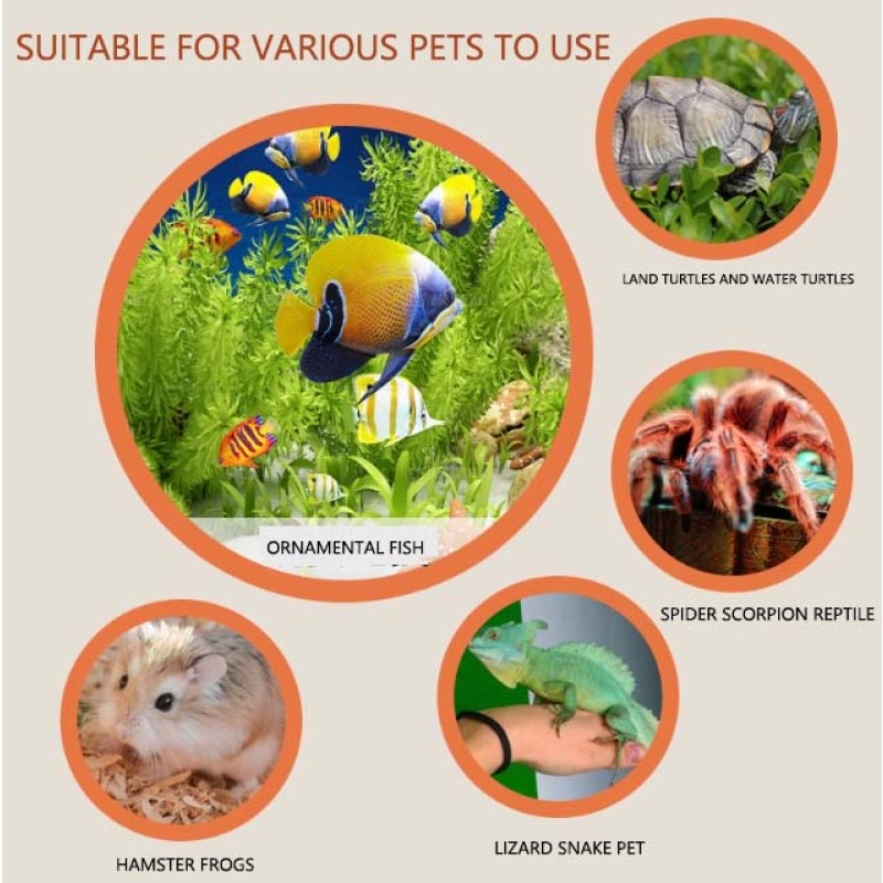 Reptile Transport Patch Manufacturer - Factory Direct Custom Long-Lasting