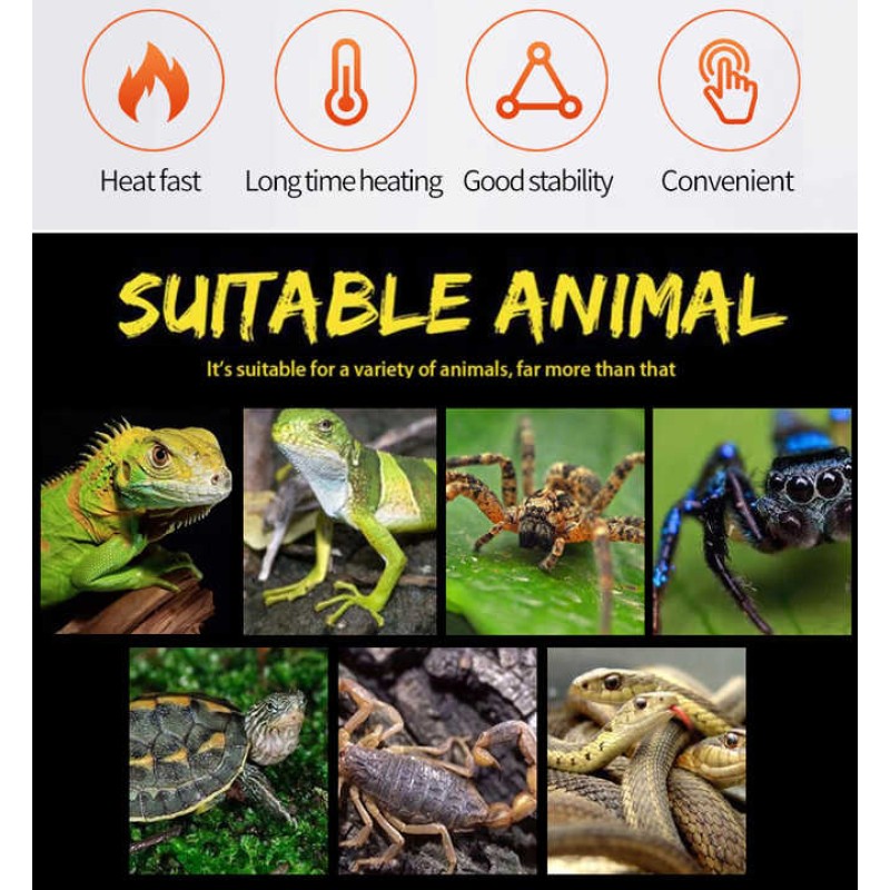 Tropical Fish Heating Pad Factory - Customizable Pet Transport Aquarium