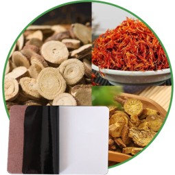 Healthcare Patch Factory - High Quality Disposable Herbal