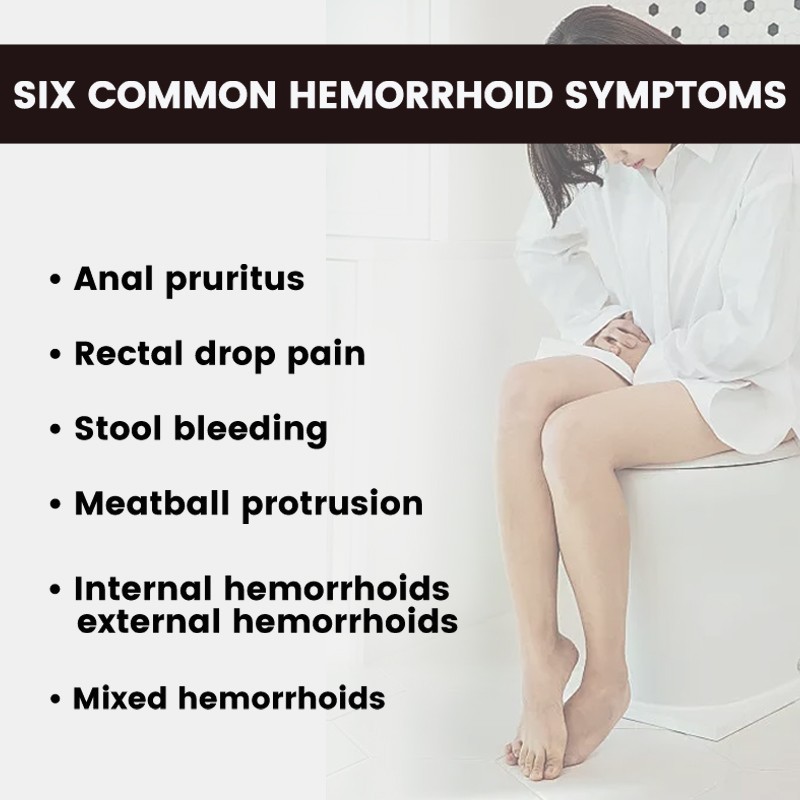 Anti-Hemorrhoids Ointment Manufacturer - Hot Supplier Body Back Relief