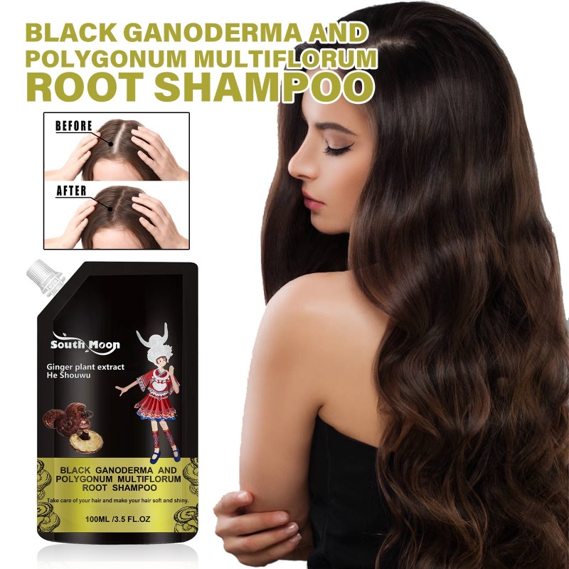 Herbal Shampoo Supplier - Black Ganoderma Ginger Anti Dandruff