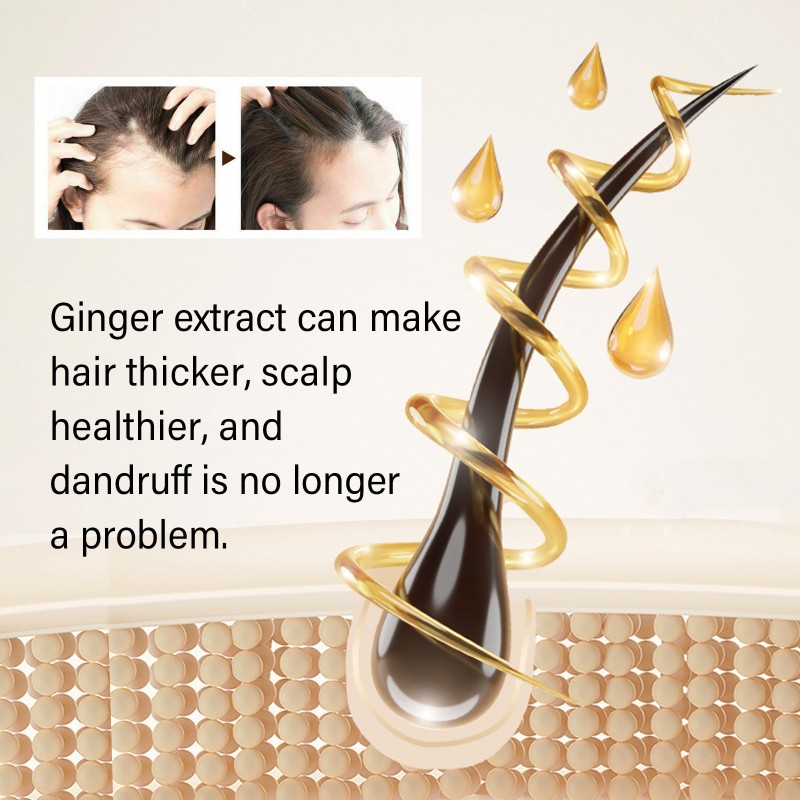 Herbal Shampoo Supplier - Black Ganoderma Ginger Anti Dandruff