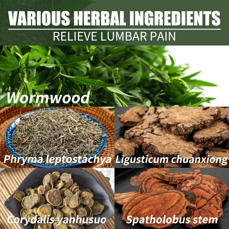 Lumbar Spray Factory - 35ml Joint Protecting Pain Relief