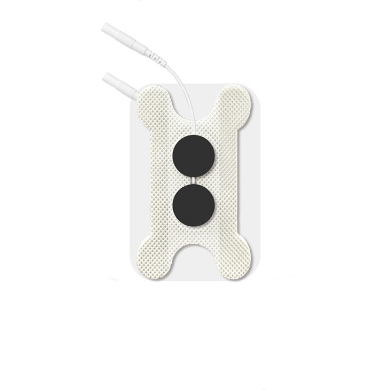 Human Skeleton Model Manufacturer - Crystal Anatomical 5x5x10cm Medical Teaching