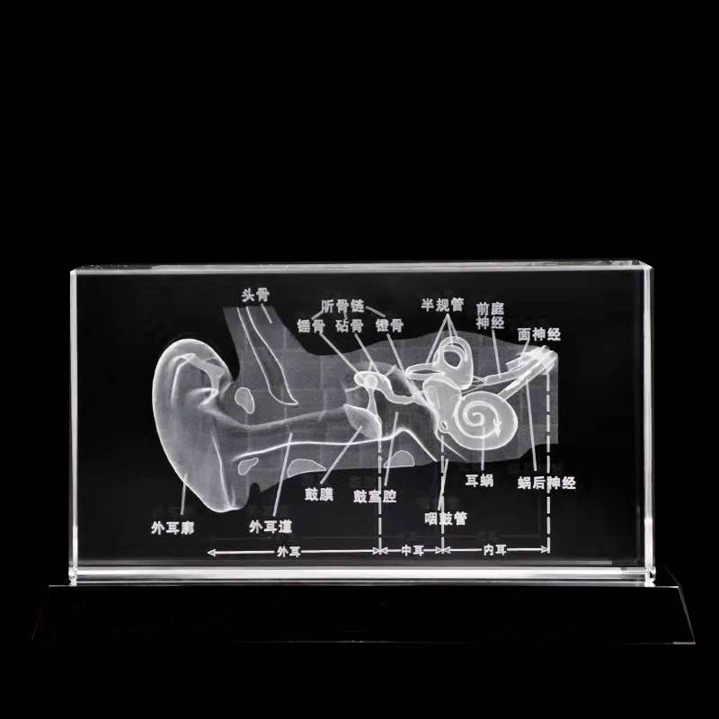 Acupuncture Needles Factory - 0.35x55mm Special for Rhinitis Treatment