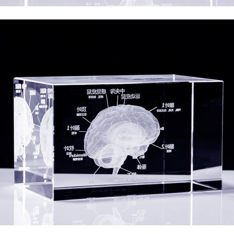 Acupuncture Needles Supplier - 0.35x40mm Silver Handle Disposable Sterile