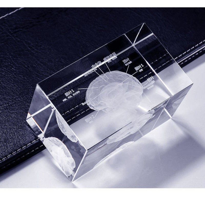 Acupuncture Needles Supplier - 0.35x40mm Silver Handle Disposable Sterile