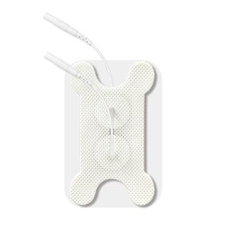 Human Skeleton Model Manufacturer - Crystal Anatomical 5x5x10cm Medical Teaching