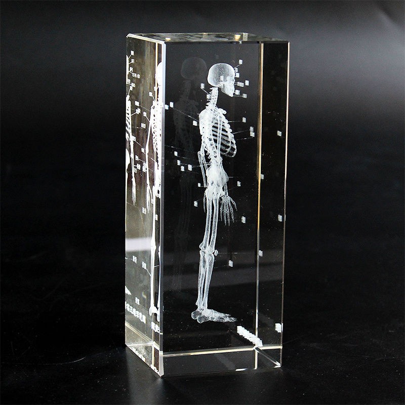 Human Brain Model Factory - Crystal Anatomical 5x5x8cm for Medical Education