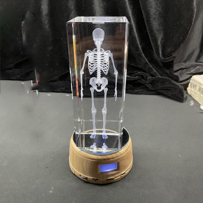 Human Brain Model Factory - Crystal Anatomical 5x5x8cm for Medical Education