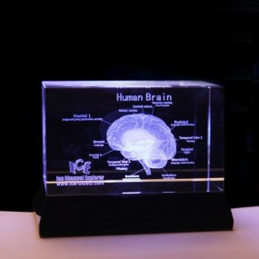 Acupuncture Needles Supplier - 0.35x40mm Silver Handle Disposable Sterile