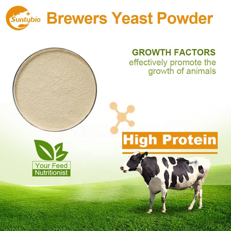 Raw Material Feed Additive Torula Yeast Powder With 45% Protein