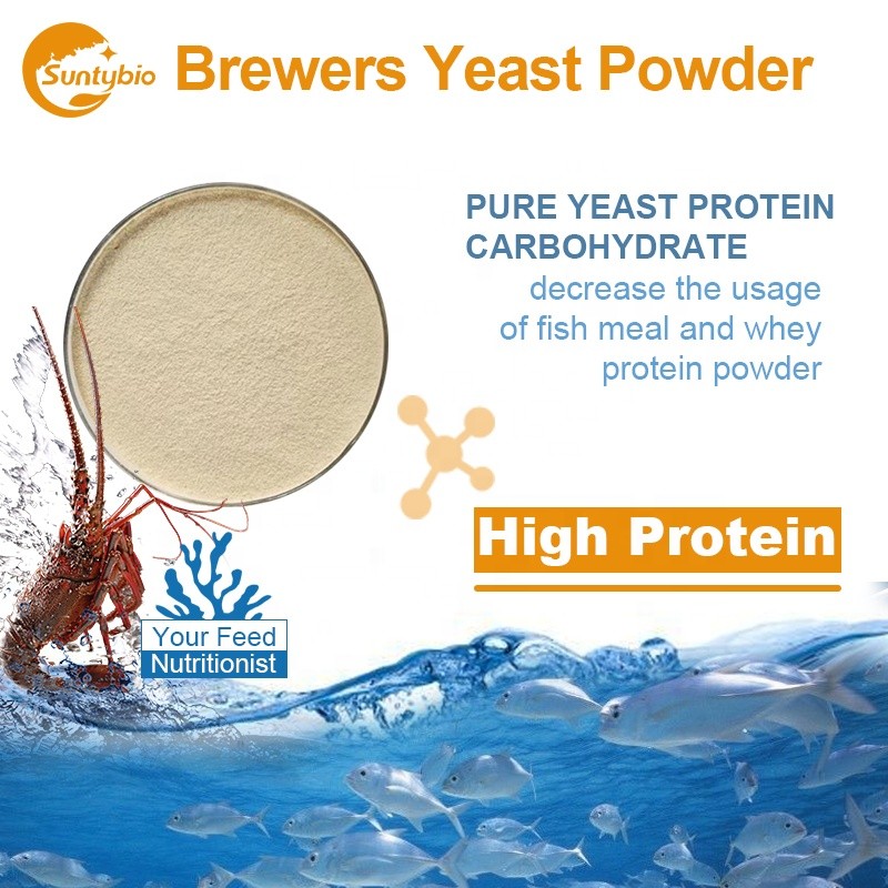 Raw Material Feed Additive Torula Yeast Powder With 45% Protein
