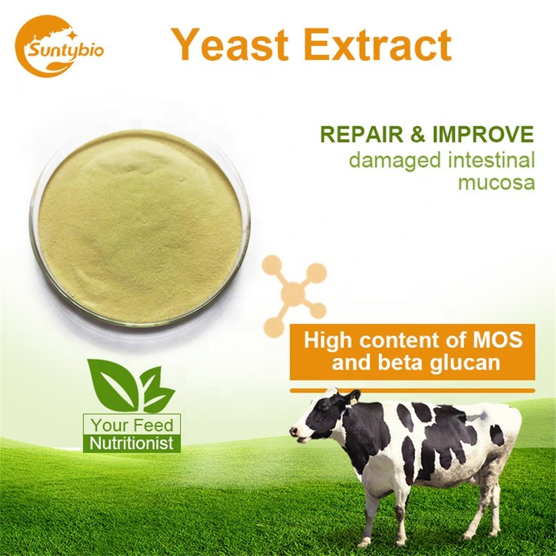 Animal Feed Additive Yeast Extract Price for Poultry Feed