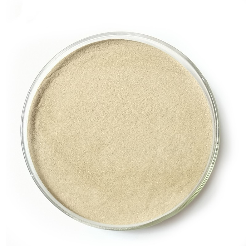 Feed  Additives Manufacturer Bacillus Licheniformis