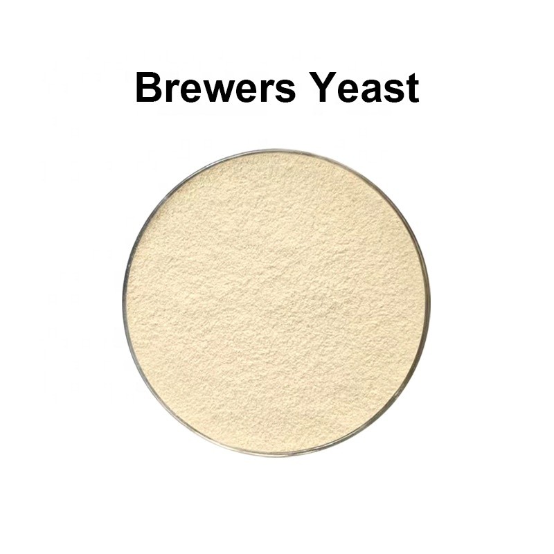 Raw Material Feed Additive Torula Yeast Powder With 45% Protein