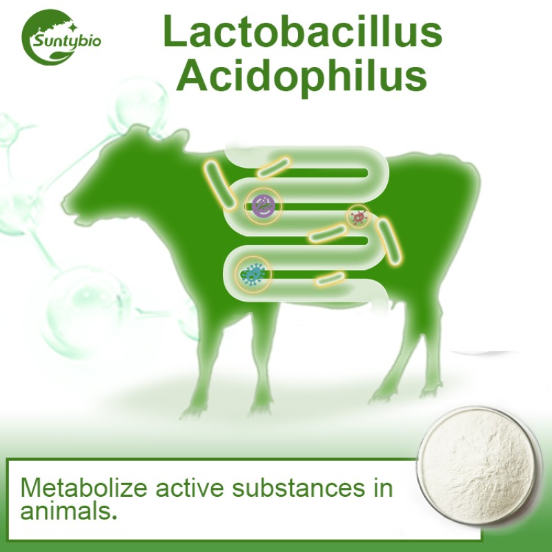 Wholesale Price Probiotics Lactobacillus Acidophilus Powder