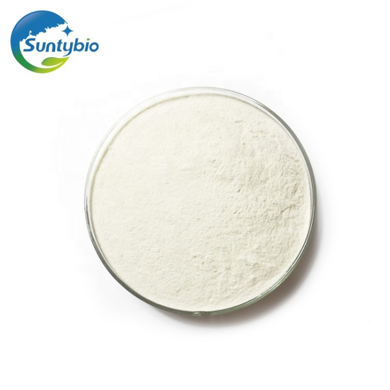 Feed Grade Lactobacillus Plantarum  for Animal Health
