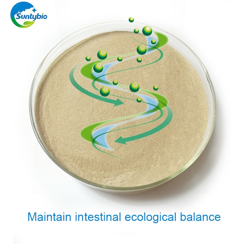 Feed  Additives Manufacturer Bacillus Licheniformis