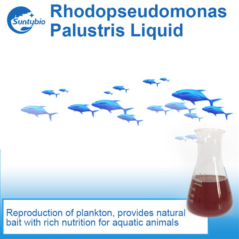 ISO 90001 Feed Aquaculture Photosynthetic Bacteria for Poultry