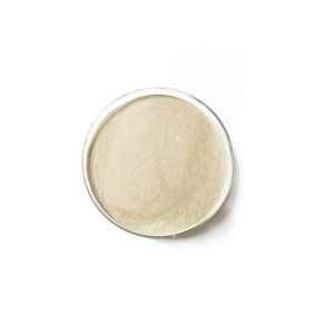 Feed  Additives Manufacturer Bacillus Licheniformis