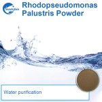 Probiotic series products