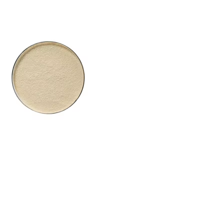 Best Price Animal Additive Torula Yeast Powder for Poultry Feeding