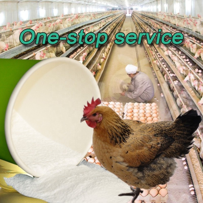 Wholesale Garlic Powder Allicin 25% for Aqua