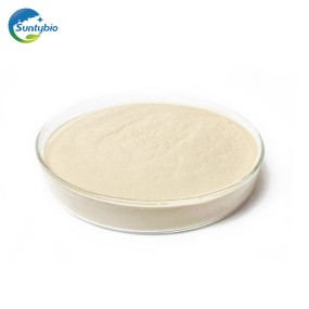 Enterococcus Faecalis Probiotic for Biofloc Fish Farming