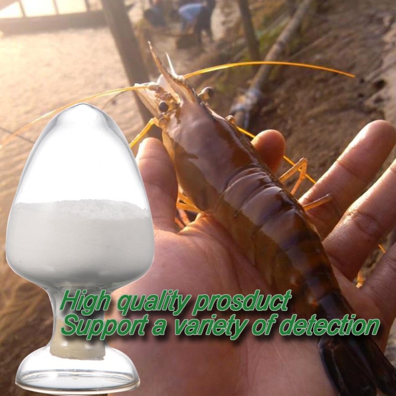 2025 Hot Sales 100% Bulk Price 25% Allicin Powder