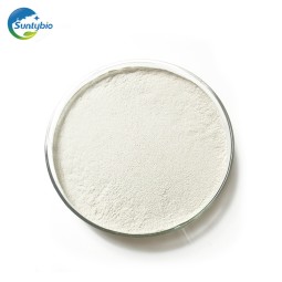 High Quality Agriculture Probiotics Bacillus Megaterium for Soil Improvement