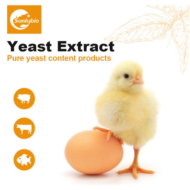 Animal Feed Additive Yeast Extract Price for Poultry Feed