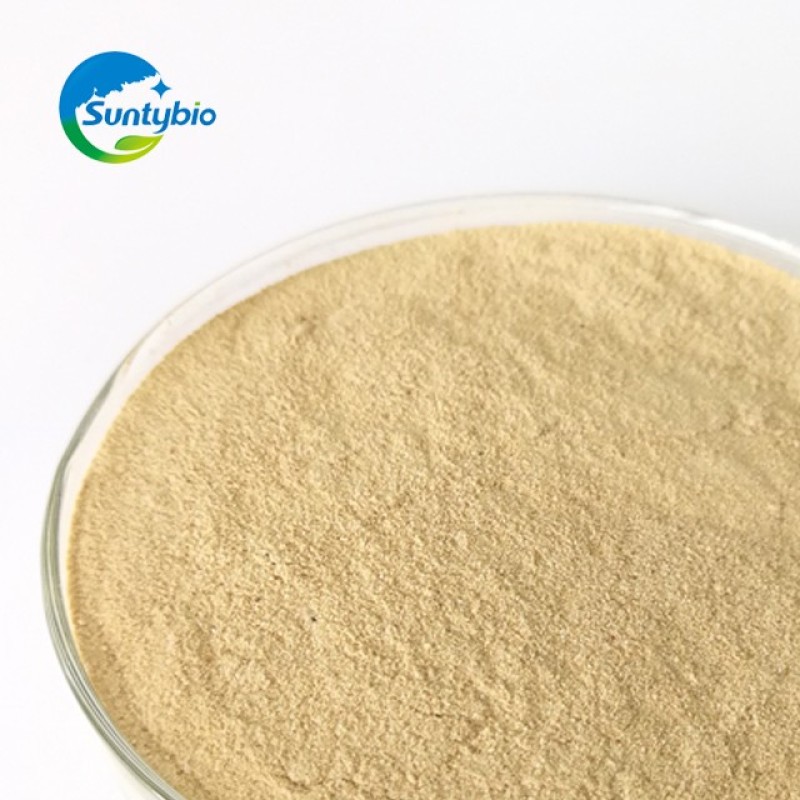 2024 Feed Additive Best Quality Beer Yeast/dry Beer Yeast/beer Yeast Powder