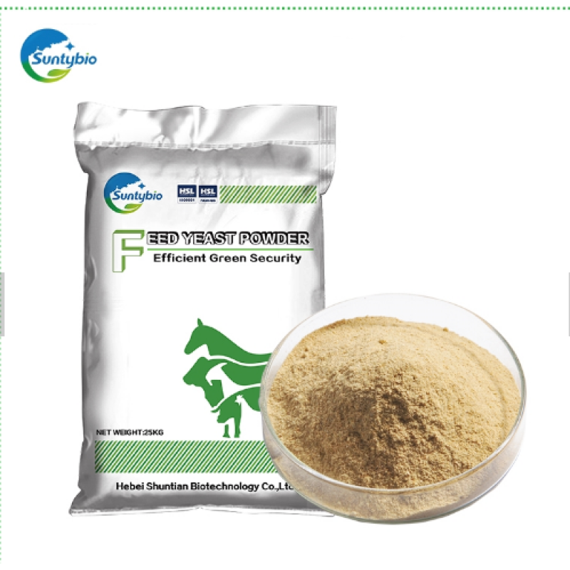 2024 Feed Additive Best Quality Beer Yeast/dry Beer Yeast/beer Yeast Powder