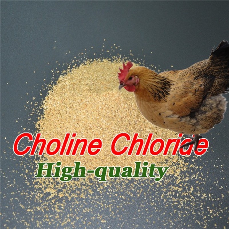 Poultry Feed Additive vitamin B4 Choline Chloride by China Supplier
