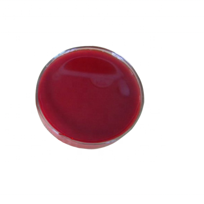 2024 High Quality Low Price Probiotics Photosynthetic Bacteria for Aquaculture Animals