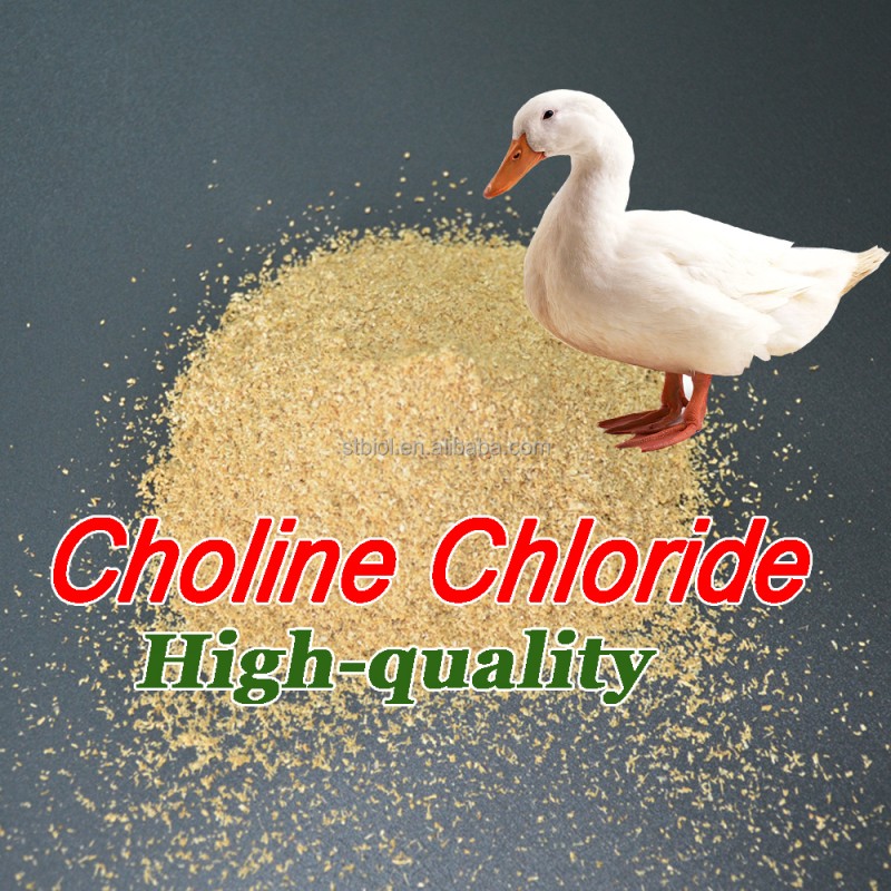 choline chloride manufacturing process