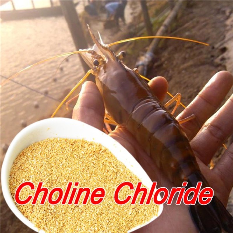 Poultry Feed Additive vitamin B4 Choline Chloride by China Supplier