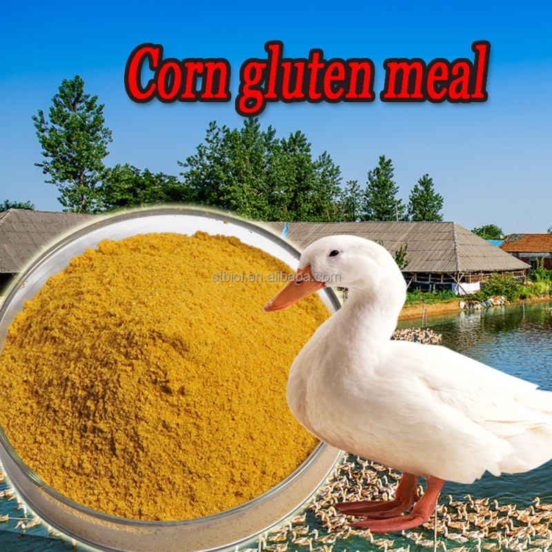 High-Quality Hot Sale Non-Gmo Feed Grade Corn Protein Meal / Zein / Corn Gluten