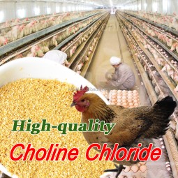 choline chloride manufacturing process