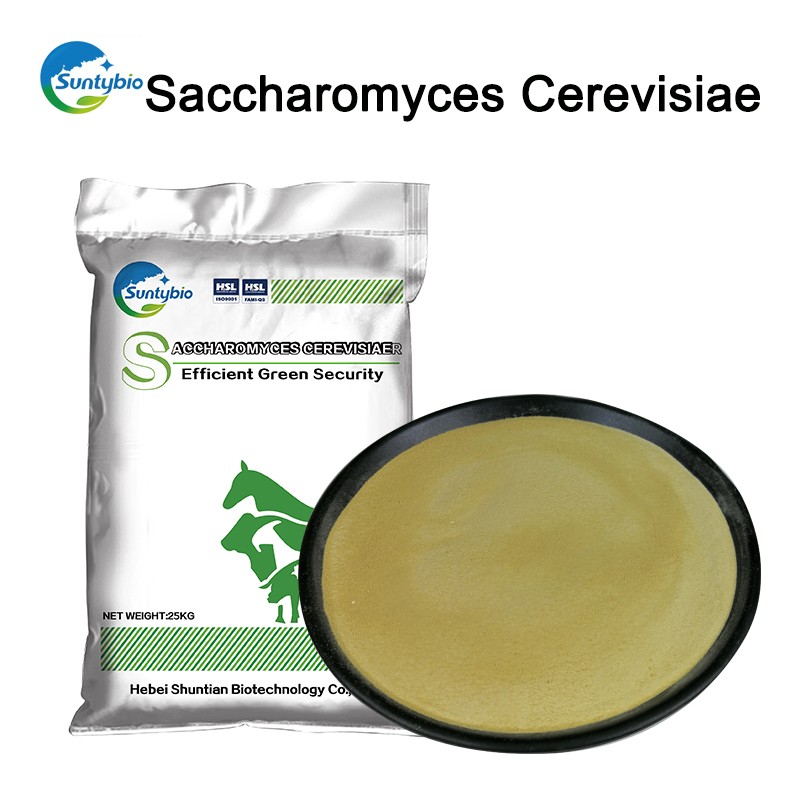 2024China Suppliers Brewer Yeast Saccharomyces Cerevisiae with Free Sample