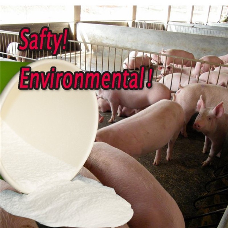 ISO SGS Certified Allicin/Alliin Garlic Plant Extract